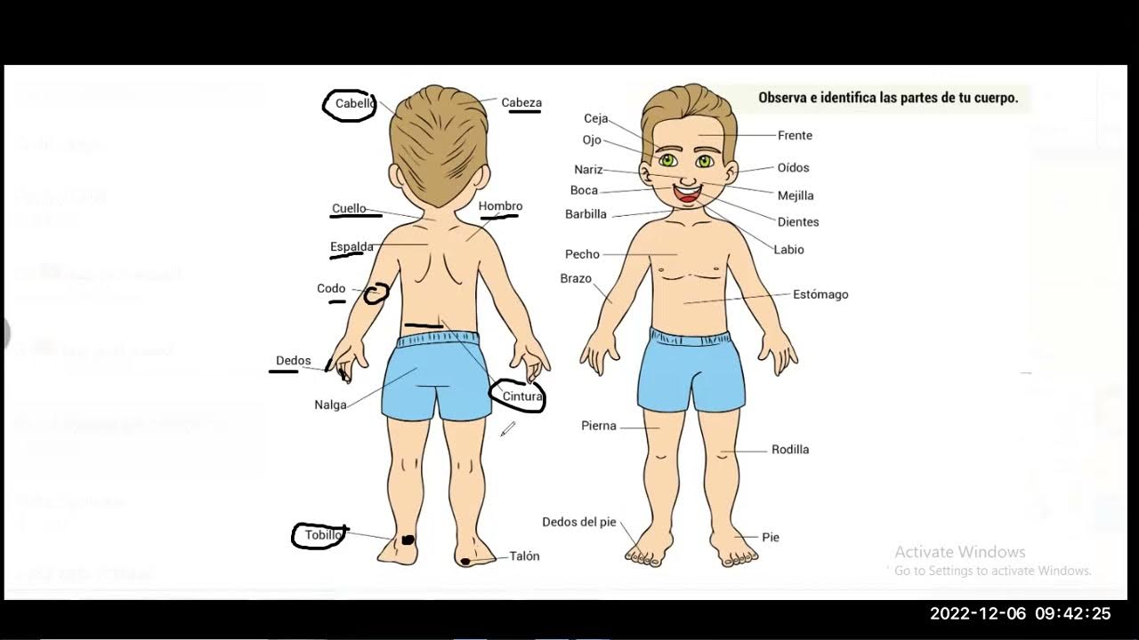 Cual es la temperatura del cuerpo humano