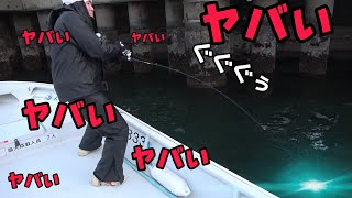 【Warm drainage water】A ridiculously huge fish in a dirty harbor... I'll eat it.