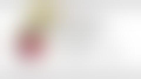 2d Game Video | Web Programming 1 | Java Institute