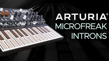 Arturia MicroFreak Presets for Ambient, IDM, Dub and Melodic Techno (Sound Demo) No Talking