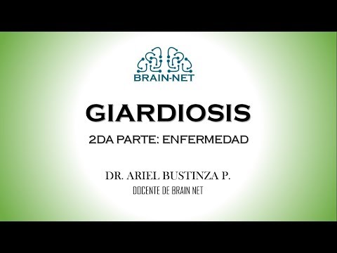 Vídeo: Giardia En El Hígado En Adultos: Síntomas Y Tratamiento