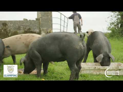 Burren Glamping &