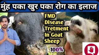 FMD :- foot and mouth disease । खुरपका मुहपका रोग । बकरी पालन। dairy farm। goat farm