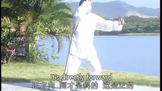 形意雑式捶　姜容樵 mqdefault.jpg