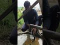 #हरहरमहादेव #जयभोलेनाथ #जयमहाकाल #जय #संभू #नाथजी #snake #lover #spectacle #cobra #viral #shorts