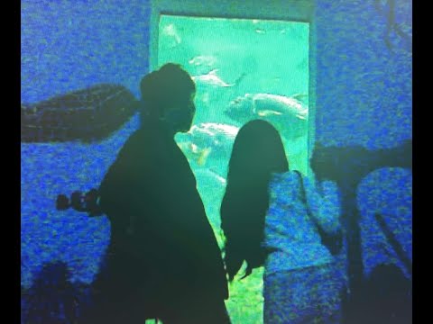 fishy - để