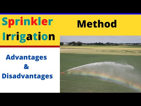 Video: Watering Methods - Their Advantages And Disadvantages. Photo