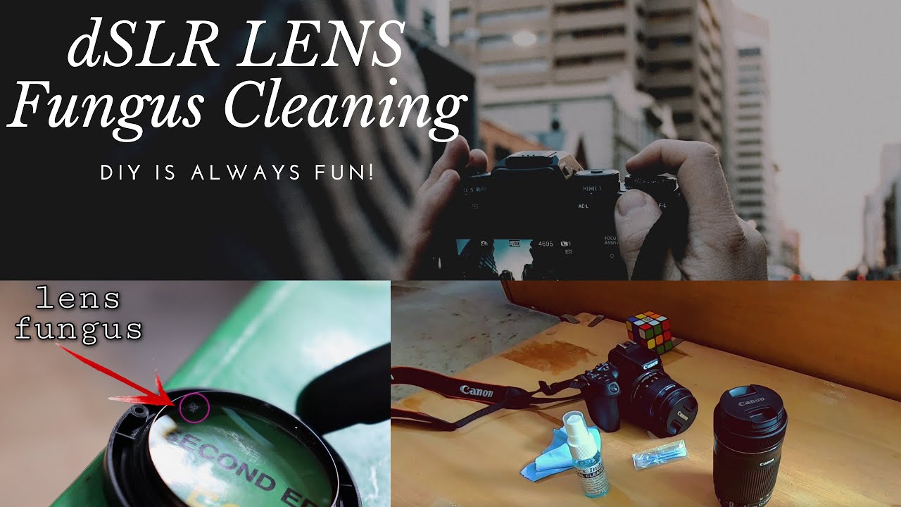 How To Clean your dSLR Lens Fungus & Dust (Canon) YouTube