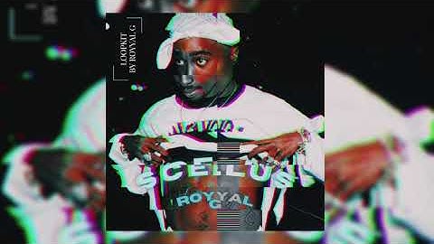 [FREE] "SCELUS" Loopkit - Pyrex Whippa, Wheezy, Southside, Pvlace & More