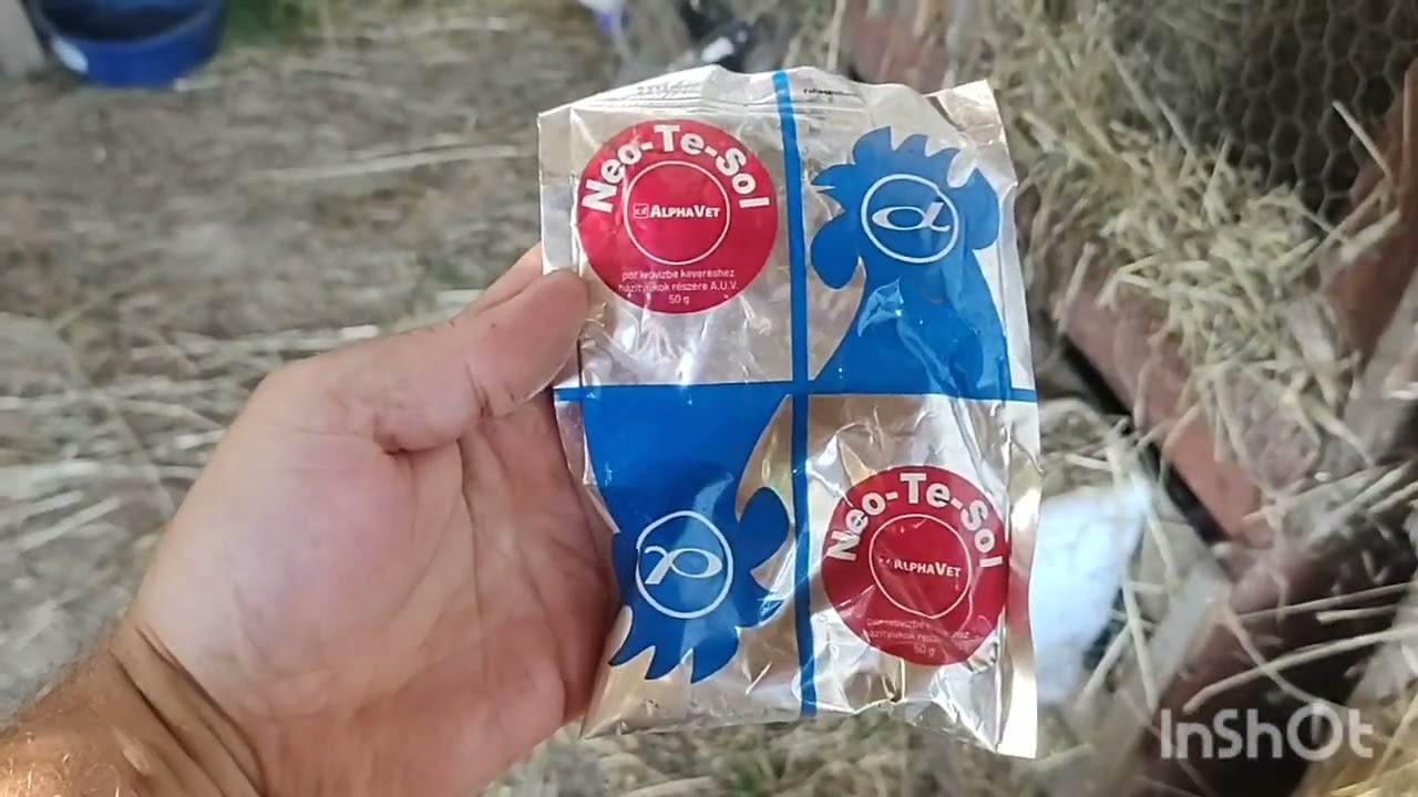 Néhány gondolat az állattartásról