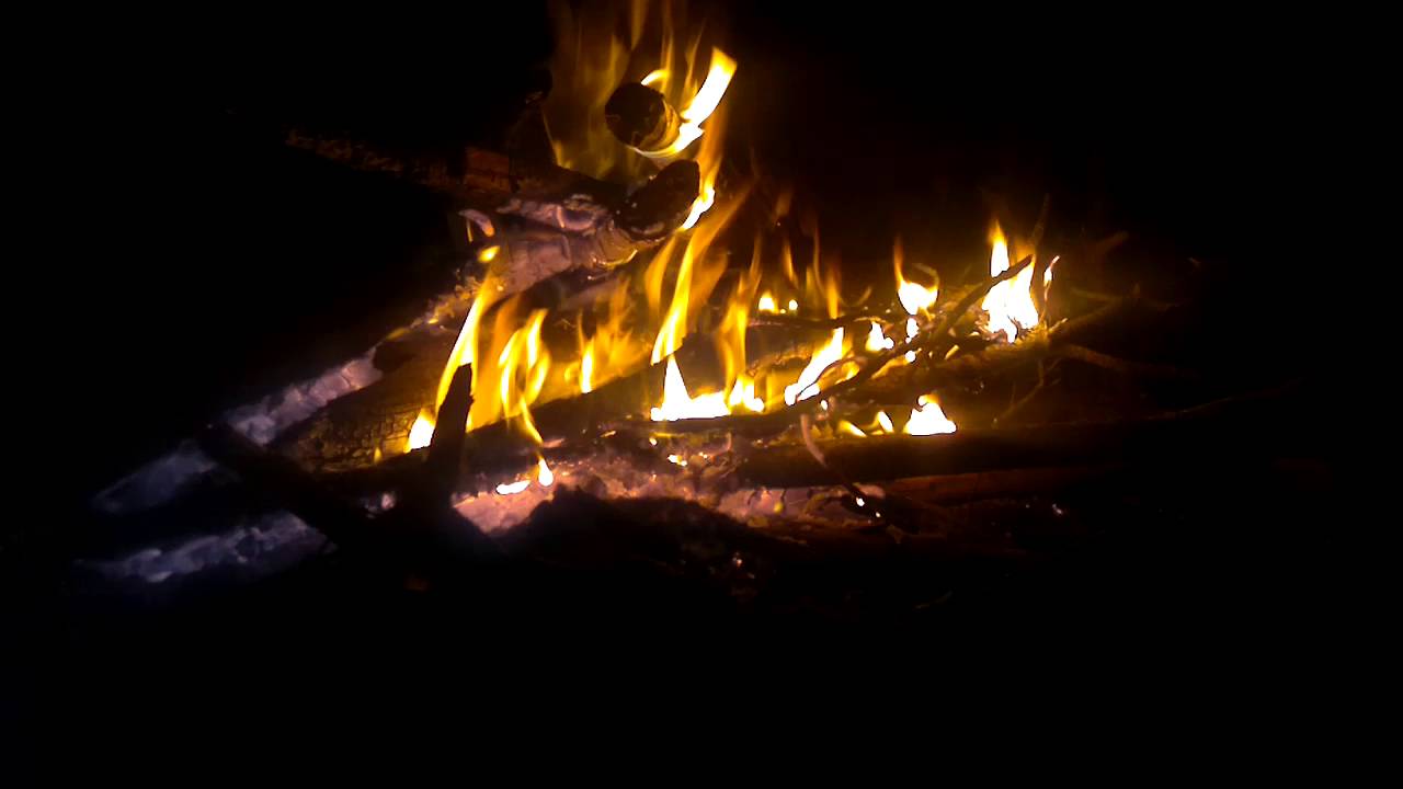 video phone beyonce mp3 Some reflection at ॐ O.S.G.6 Ƹ̵̡Ӝ̵̨̄Ʒ.GoAdelic Freaks Mov.ॐ