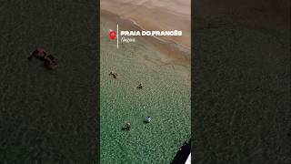 Essa é a belíssima Praia do Francês pra você conhecer na sua viagem a Maceió