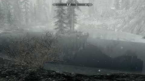 Skyrim water bug