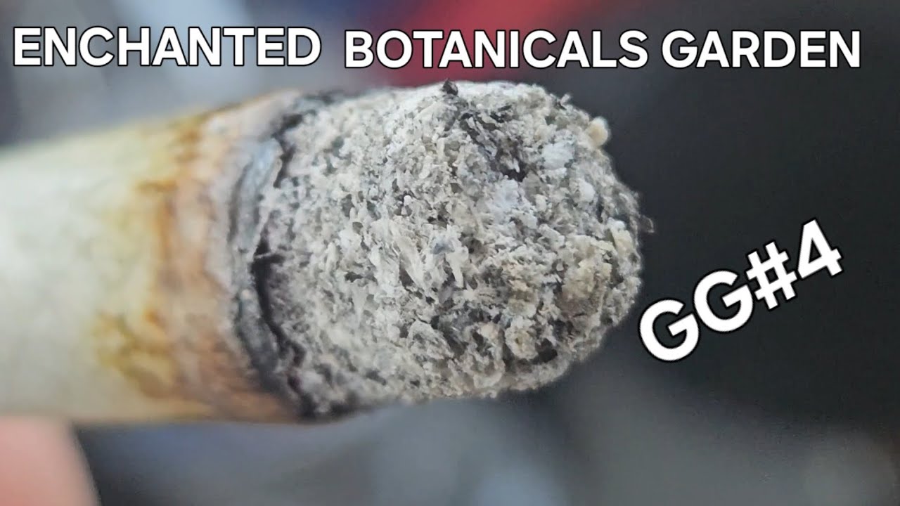 I Tried the Most Expensive Gram I could find