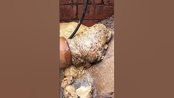 The Drain Unblockers (18)