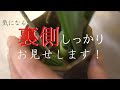 【生け花】裏側も見せちゃいます！