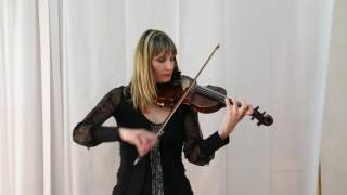 Focuslab Fonoassorbenti