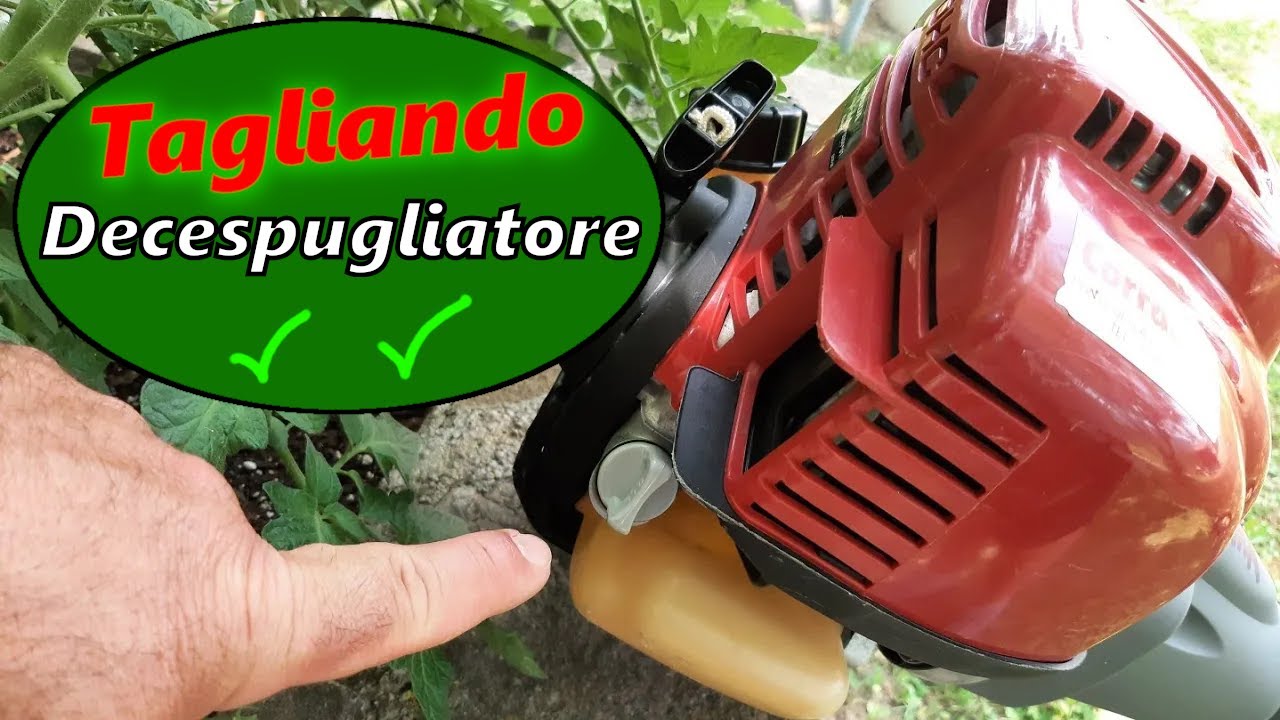 come-cambiare-l-olio-nel-decespugliatore-youtube