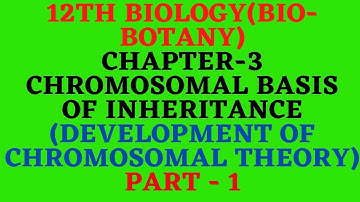 12th Biology(Biobotany) Chapter3 Chromosomal basis of inheritance(chromosomal theory) part 1