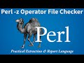 Perl File Handling Trick: Instantly Detect Empty Files with the -z Operator 2026