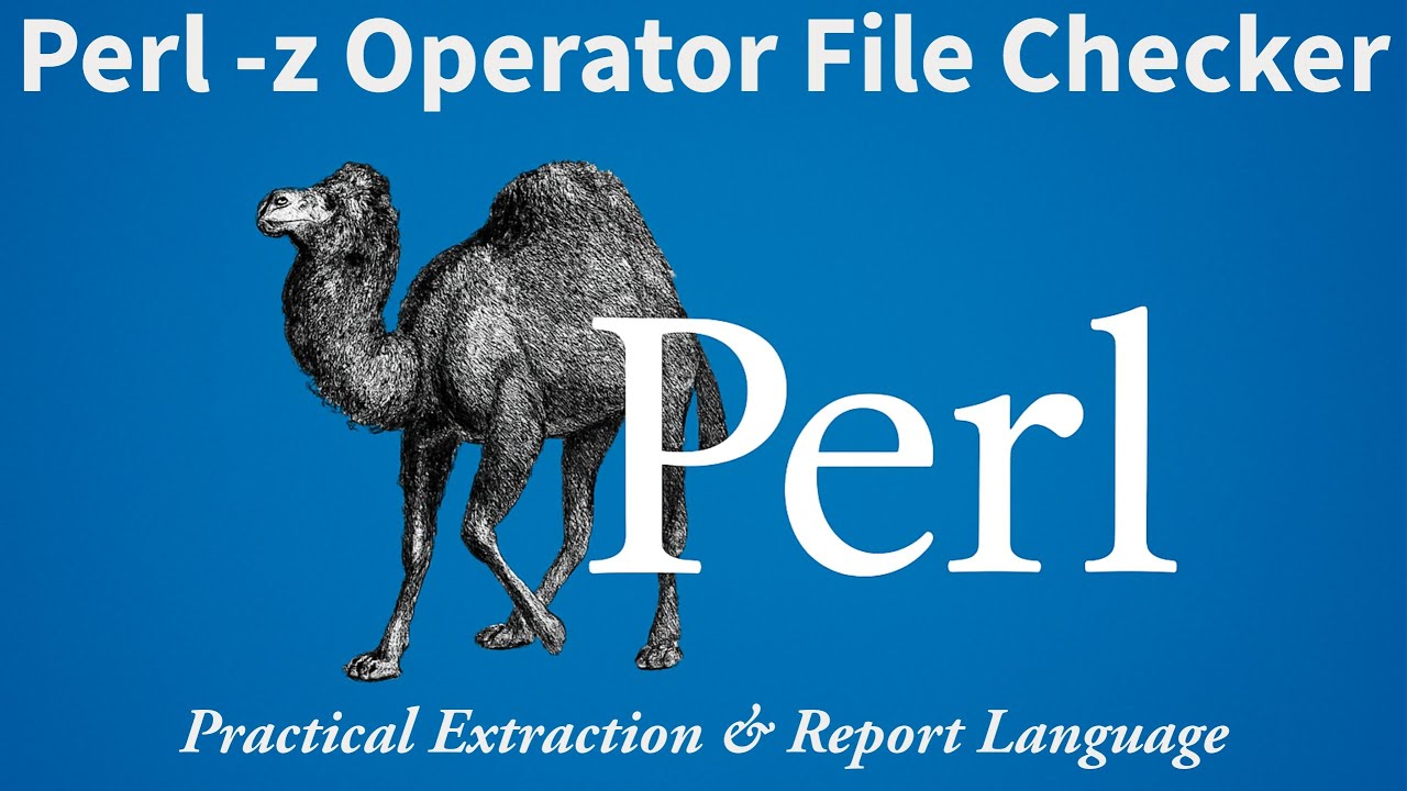 Perl File Handling Trick: Instantly Detect Empty Files with the -z ...