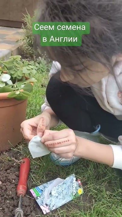 Сеем семена цветов в Англии #семена #цветы #садоводство - YouTube