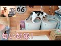 【DIY】　猫のトイレ対策と猫砂レビュー