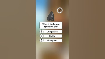 Only genius can solve this! #shorts   #Puzzles​ #BrainTeaser​ #WordPuzzle​ #Riddle​ #fyp #Fun #Quiz​