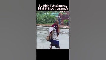 18/9/2025. Hình ảnh Sư Minh Tuệ sáng nay, đi khất thực trong mưa