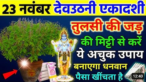 23 नवंबर देवउठनी एकादशी पर तुलसी की जड़ की मिट्टी का यह उपाय दूर करेगा गरीबी होंगी परेशानियाँ दूर