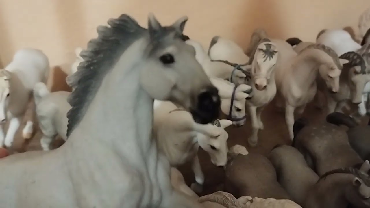 Šopeciál za 300 subs ďakujem 🍬