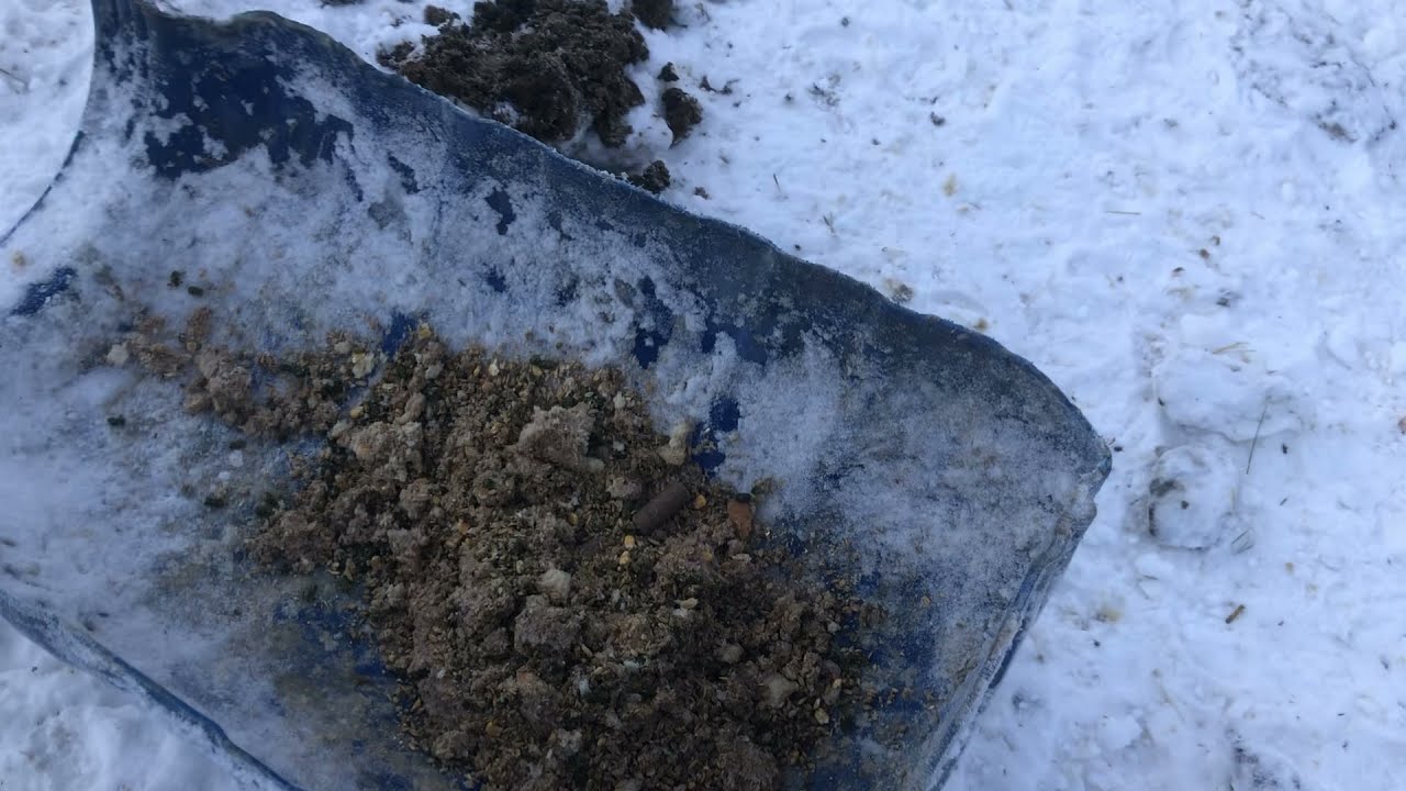 Continuing evolution of my cattle paste- trying to reduce feed costs and have healthy, happy cows.