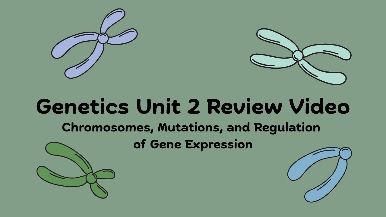 Genetics Review Video Unit 2 | Chromosomes, Mutations, Gene Expression ...