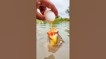 I will catch a bigger fish than you with potatoes and eggs, fishing challenge#fishing #shorts