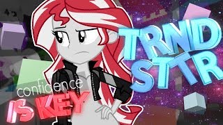 MEP Part-TRNDSTTR