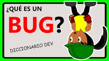 ¿Qué es un BUG? ✅ (DEFINICIÓN de bug en programación)