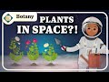 Exploring the Mysteries of Botany
