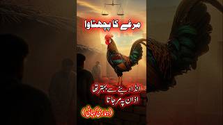 Murghay Ka Pachtawa | Hamari Kahani Mughy ki Zubani | End Tak Lazni Dekhen | Shorts