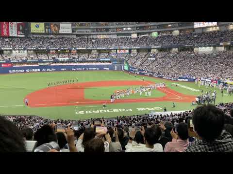オリックスバファローズ　超巨大クラッカーで祝福　2022年10月15日(土)   オリックスバファローズvs 福岡ソフトバンクホークス　クライマックスシリーズ　ファイナルステージ第4戦