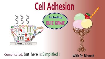 Cell Adhesion: IgSF, Cadherin, Selectin, Integrin
