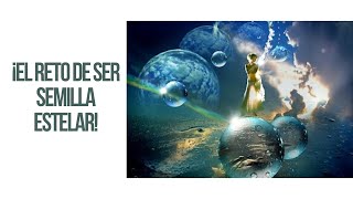 El reto de ser una Semilla Estelar by Sergio Amado 1,477 views 1 year ago 29 minutes