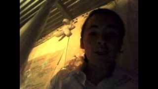Capture 20140305
