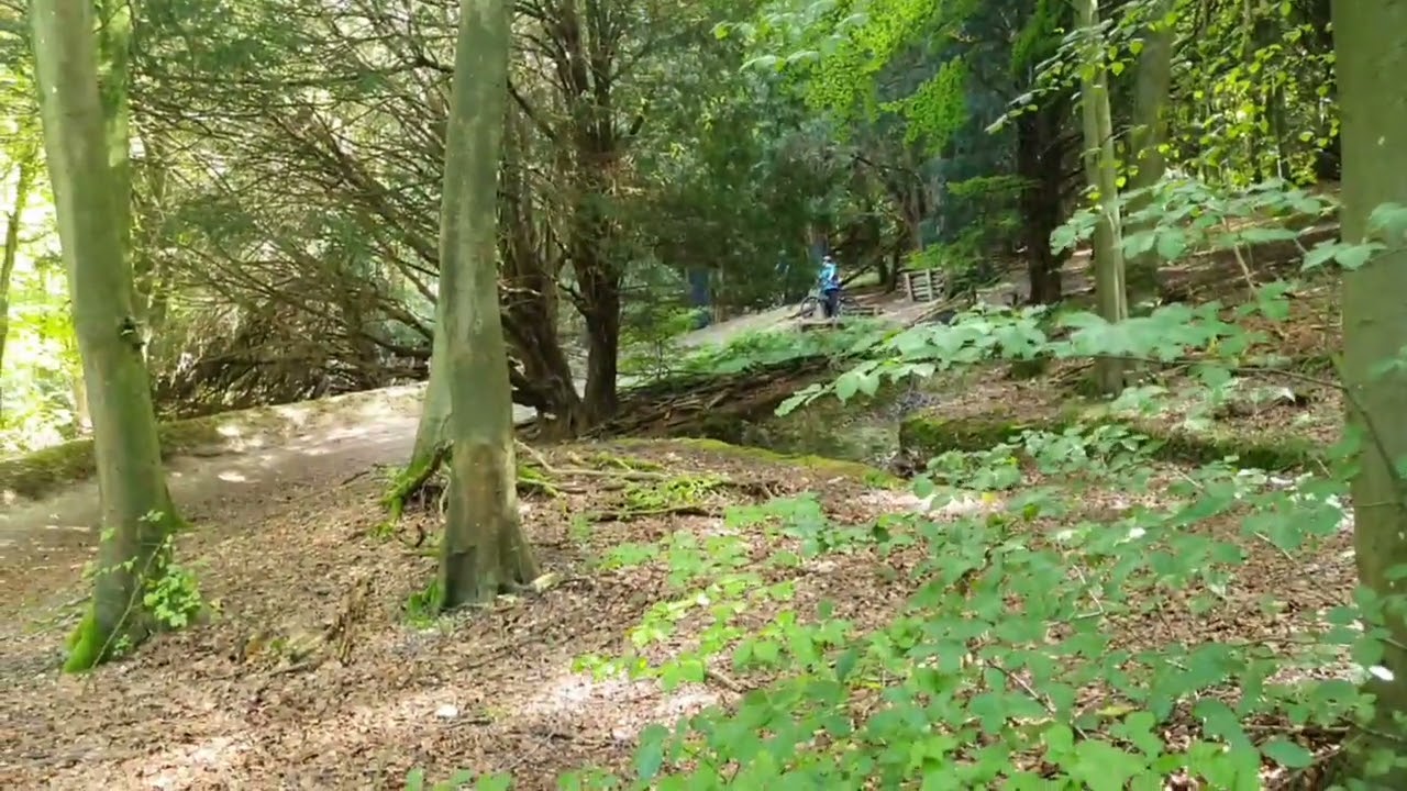 Stoughton Downhill tryout