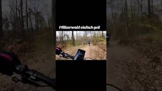 Springen#drop#kicker#pfälzerwald#cube#endueobike#singletrail#