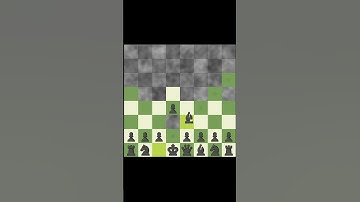 Chess Variants are something else XDXD [FOG CHESS]