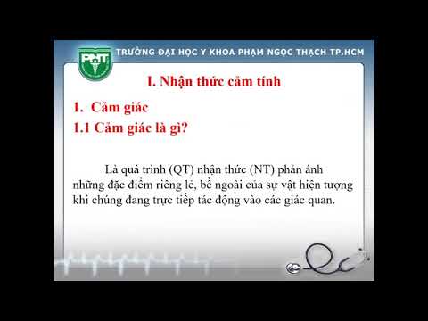 Video: Hoạt động Nhận Thức Của Con Người