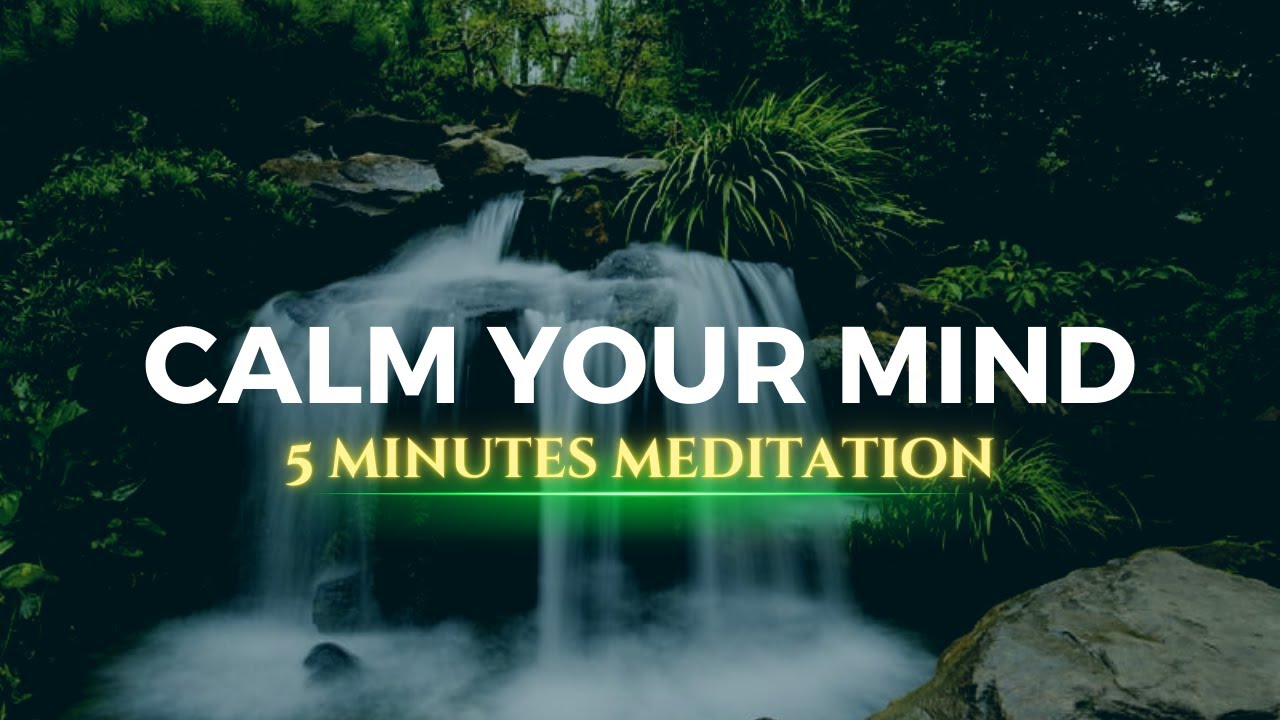 Calm Your Mind in 5 Minutes: Meditation for Serenity - YouTube