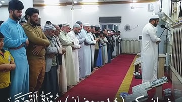 غسان كريم صلاة التراويح 14 رمضان ١٤٤٣هـ ما تيسر من سورة القصص