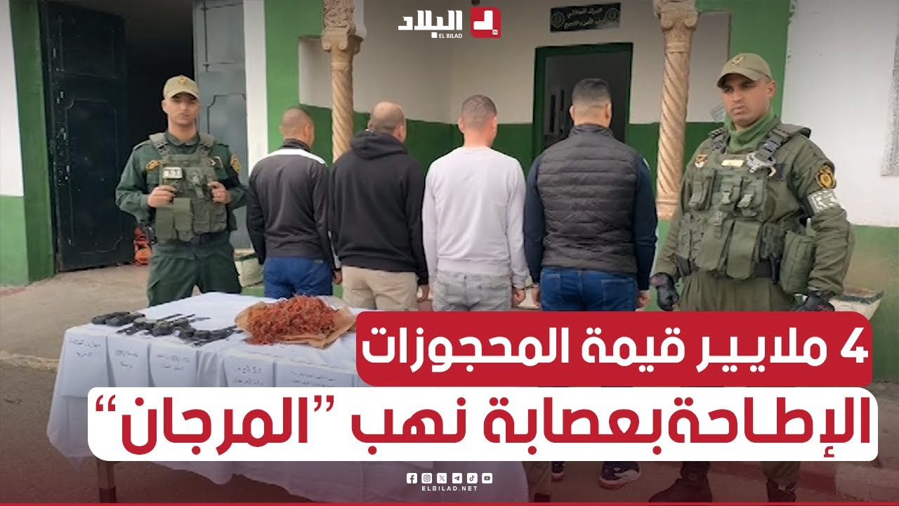 عصـــابة نهب المرجان في عنابة في قبضة الدرك .. وقيمة المحجوزات تتجاوز الـ 4 ملايير سنتيم