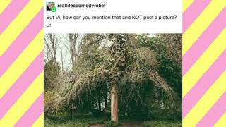 Weird Trees